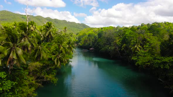 Loboc River in the Jungle