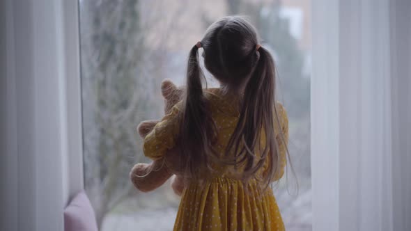 Back View of Little Girl Shaking Head with Long Ponytails. Child Holding Teddy Bear Standing in