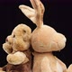 rabbit with long ears and various teddy bears rotates - VideoHive Item for Sale