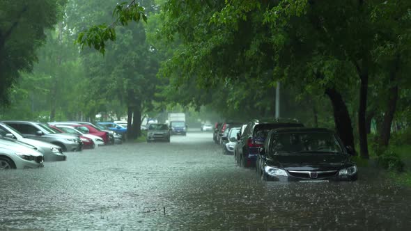 Flooded cars on the street of the city