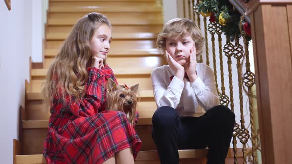 Two Sad Children Sitting on Stairs on Christmas Eve with Dog Noticing Something Pointing Away