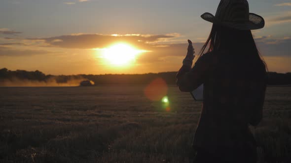 Farmer Woman with Tablet Working in Wheat Field During Harvesting By a Combine, She Controls the