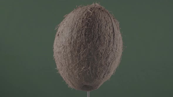 Coconut Rotating with Loop on Green Screen for Chroma Key