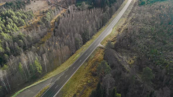 Aerial, tilt down, drone shot, flying towards a road and  leafless autumn forest, on a cloudy fall d