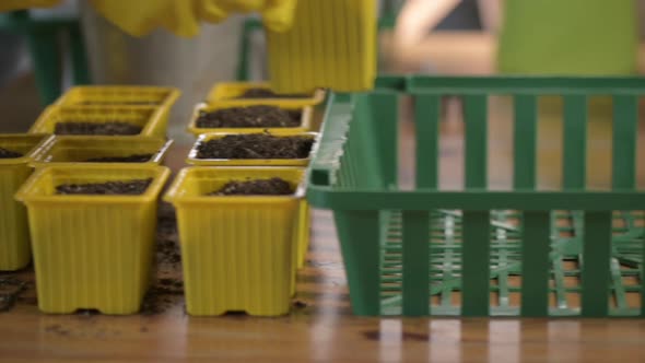 Farmer  puts plastic pots with soil peat and organic fertilizers in garden box