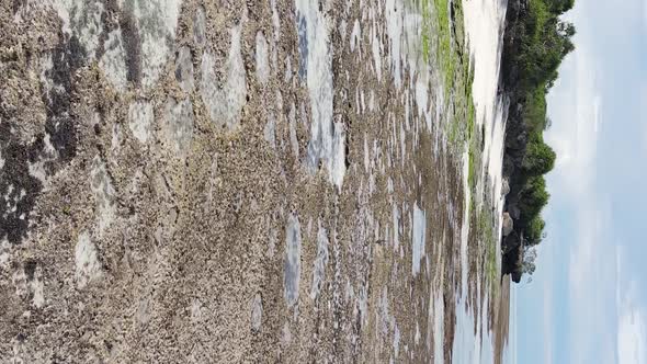 Zanzibar Tanzania  Vertical Video of Low Tide in the Ocean Near the Coast Slow Motion