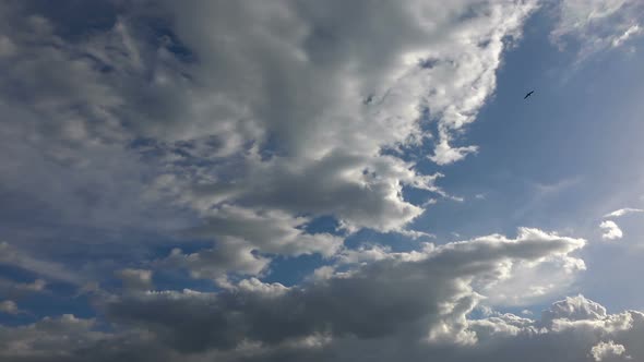 Rain Clouds On Overcast Sky 8