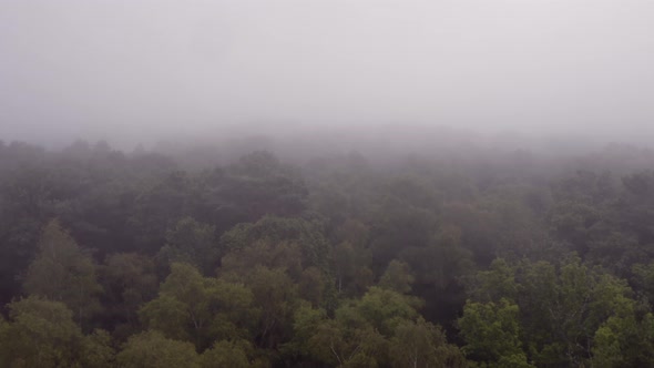 Aerial drone track in over trees in mist