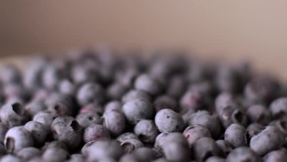 Blueberry Rotating Background. Lot of Ripe Blueberries Close Up. Organic and Healthy Food.