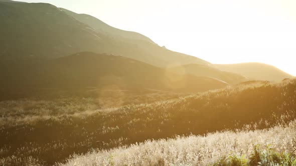 Sunset Over the Valley Fields alt
