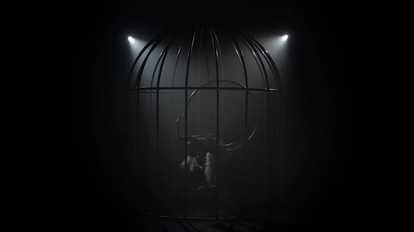 Gymnast a Performs on Stage in a Cage Spinning on the Air Hoop. Black Smoke Background. Silhouette