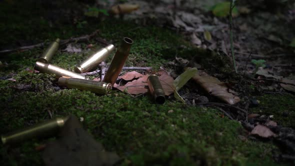Bullet casings fall on the moss. Shooting in the forest. Slow motion.
