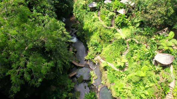 aerial top down of a river in a valley with bamboo bridges to cross in Bali Indonesia