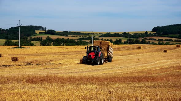 Farmers Harvest Grain From the Field (Farmer Loads Haystacks on the Tractor) - Sunny Day