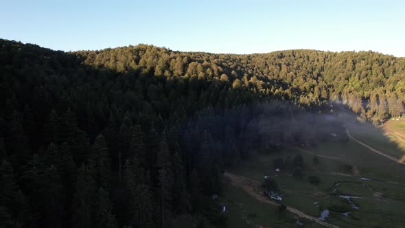 Aerial Foggy Valley and Forest