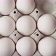 Hand laying out chicken eggs in a cardboard tray, top view - VideoHive Item for Sale