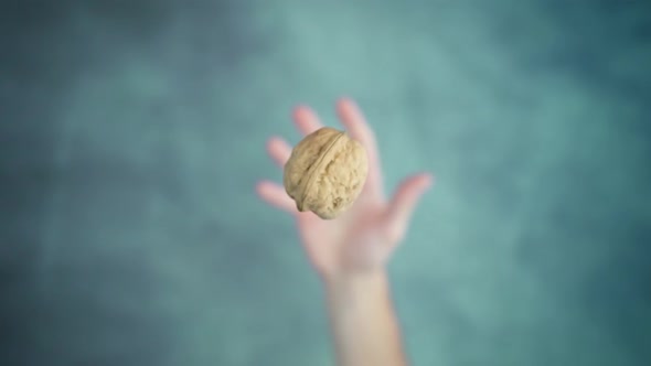 Person Hand Throwing Up and Catching Walnut in Nutshell