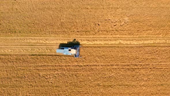 Top view of blue combine on field in summer, Poland