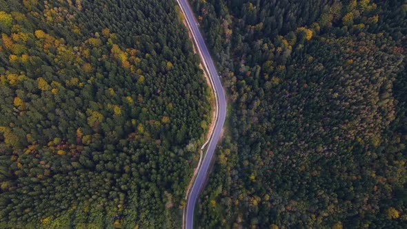 Road in the Mountains