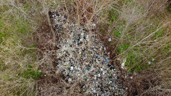 Garbage Dump in Forest