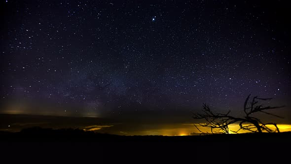 Trees And Landscape Silhouetted Under Milky Way