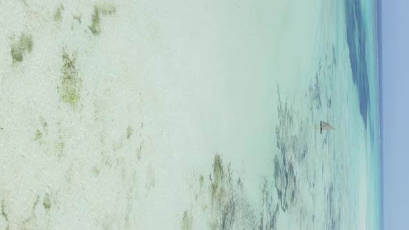 Tanzania Vertical Video  Boat Boats in the Ocean Near the Coast of Zanzibar Aerial View