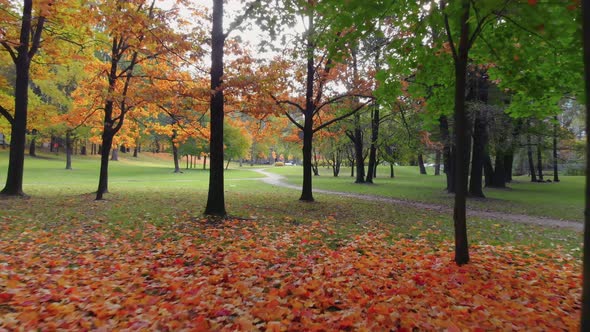 The Beauty of an Autumn Park in St