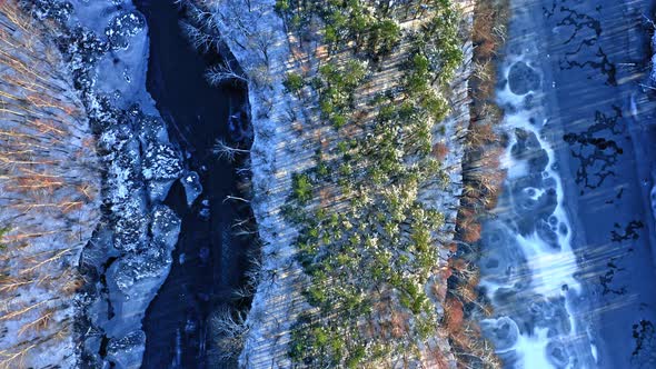 Winter frozen river and forest. Aerial view of wildlife, Poland