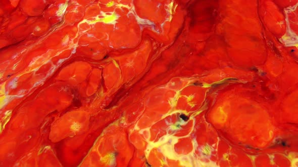 Abstract Pastel Colors Of Infinity Texture 47 alt