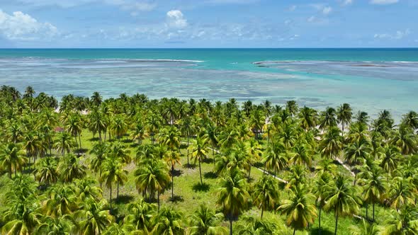 Sao Miguel dos Milagres Beach at Alagoas state Brazil. Brazilian Northeast.