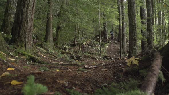 A young man mountain biking in a forest on a mountain.