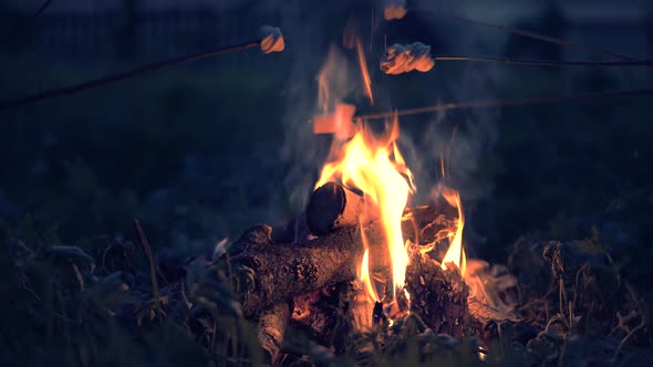 Toasting Marshmallows On Sticks On Fire. Roasting Food Over Fire In Camping. Grilled Marshmallow.