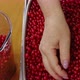 Making a Smoothie From Juicy Ripe Red Currants in a Blender - VideoHive Item for Sale