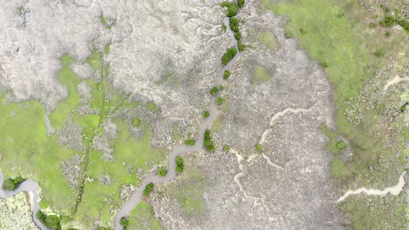 AERIAL DIRECTLY ABOVE Protected Wetlands In Australia