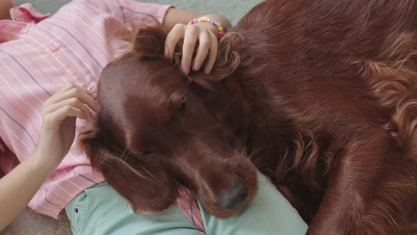 Girl Petting Dog at Home