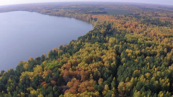 Aerial Top View of Beautiful Lake Surrounded By Colorful Forest in Autumn