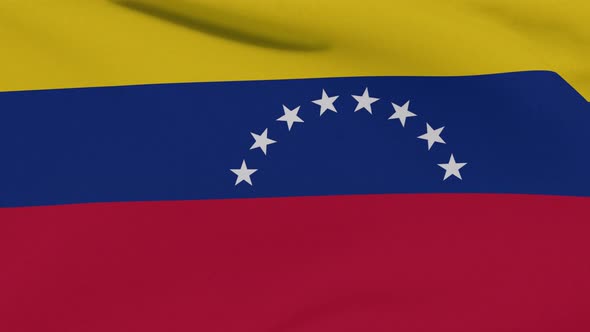 Flag Venezuela Patriotism National Freedom Seamless Loop