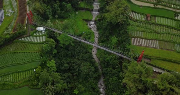 Aerial drone view of suspension bridge, valley and river with waterfalls. mangunsuko bridge or Jokow