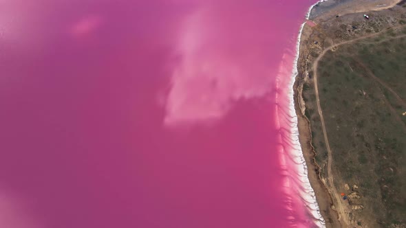 Bright Beautiful Landscape with Pink Salt Lake Coast From Drone