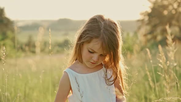 A Cute Girl with Flowing Hair in a White Summer Dress Stands Among the Green Spikelets She Breaks