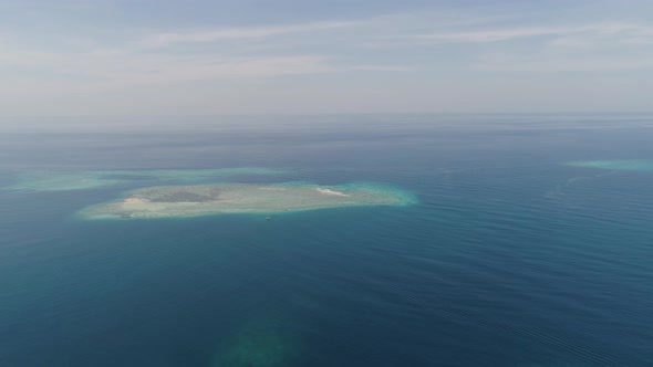 Seascape Coral Reef in Sea