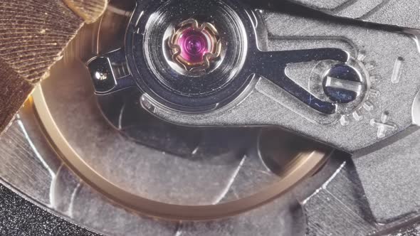 Slow Motion Rotation of the Internal Mechanism of Swiss Watches