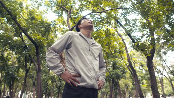 Asian man runners standing resting and taking a break from running and looking up at the tree.