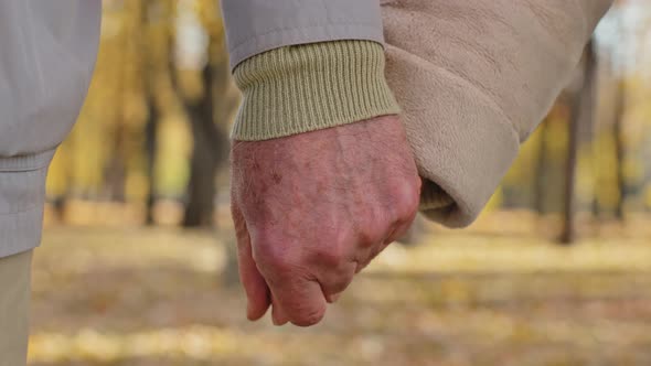 Close Up Two Wrinkled Hands Elderly Couple Hold Arms Together Romantic Gesture Old Middleaged Family