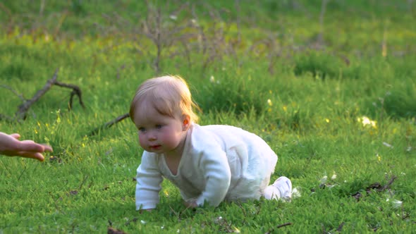 Little Baby on the Grass