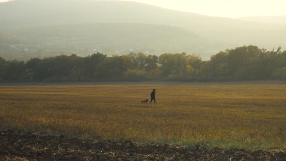 Boy walks on the grass field with his dog on a sunny day