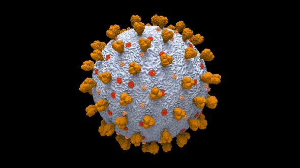 Coronavirus Covid 19 Cell V15