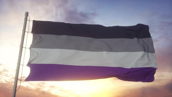 Asexual Flag Waving in the Wind Sky and Sun Background