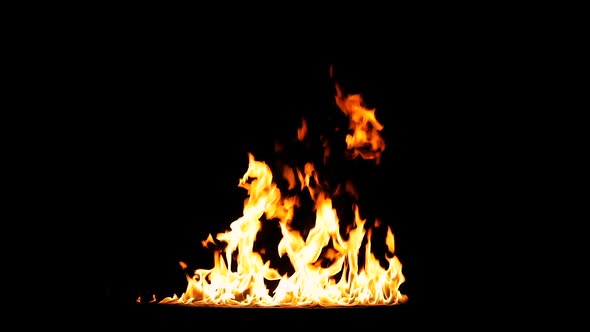 Wide shot of the Huge line of flames swelling up by wind. Isolated on black background