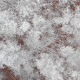 Aerial Above Frozen Ice Trees - VideoHive Item for Sale
